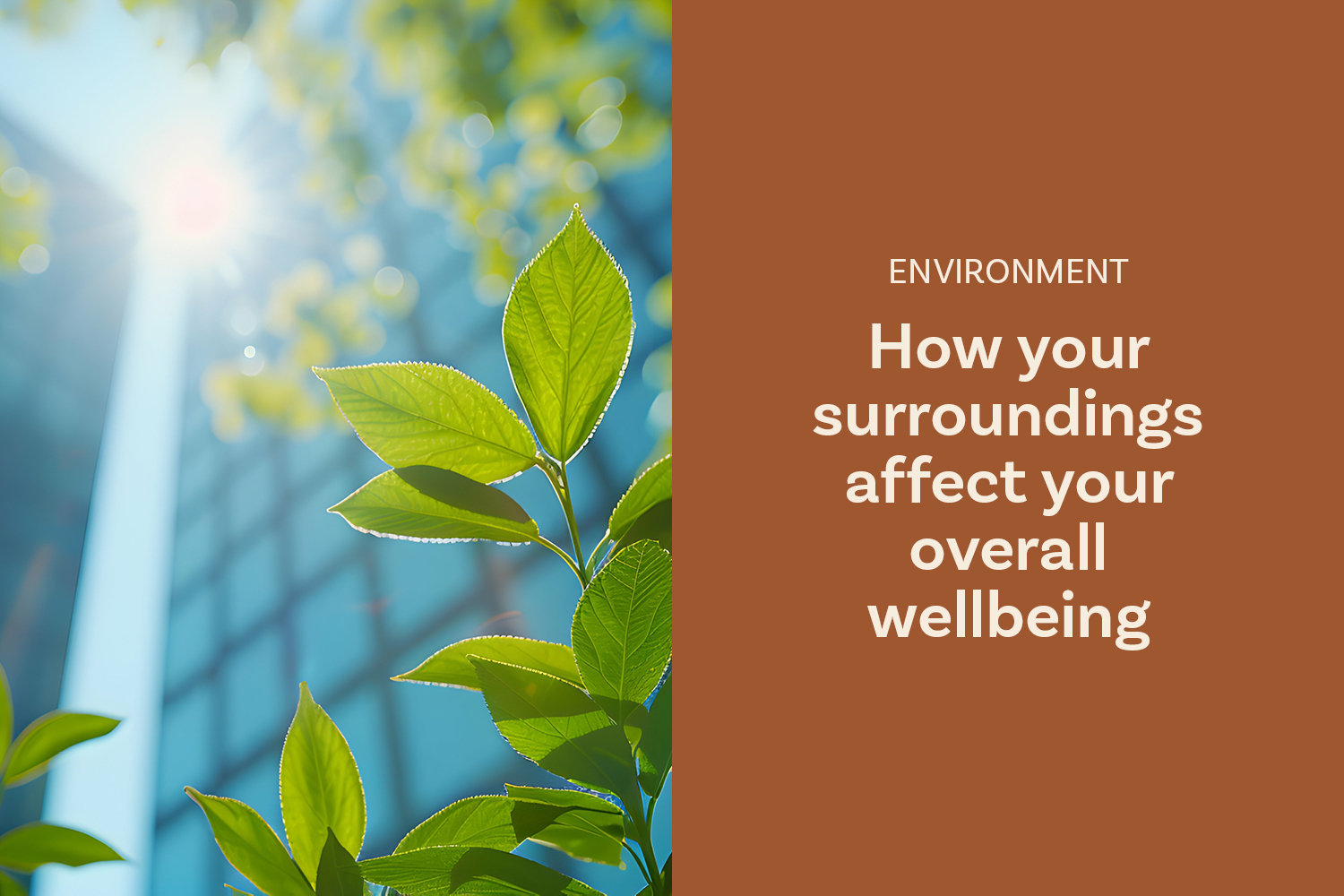 Our Environment Impacts Our Wellbeing