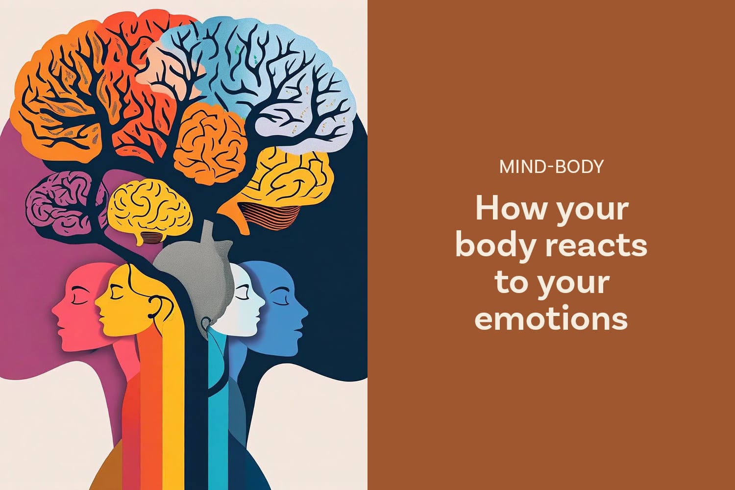 The Body’s Response to Emotion
