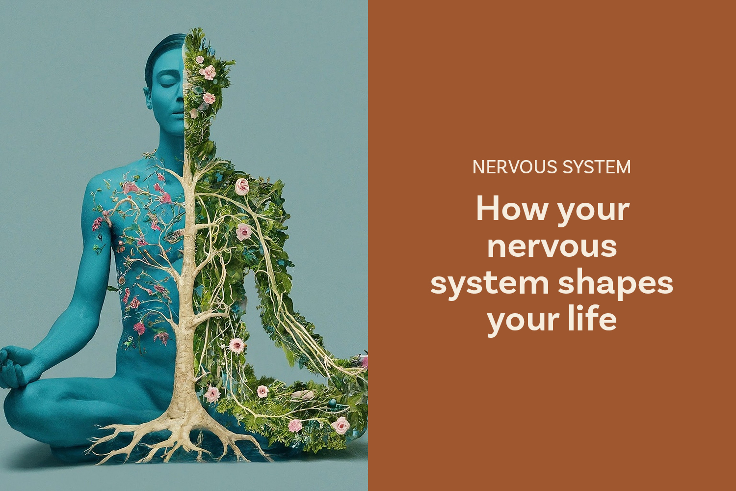 Why Your Nervous System Coordinates How You Experience Life