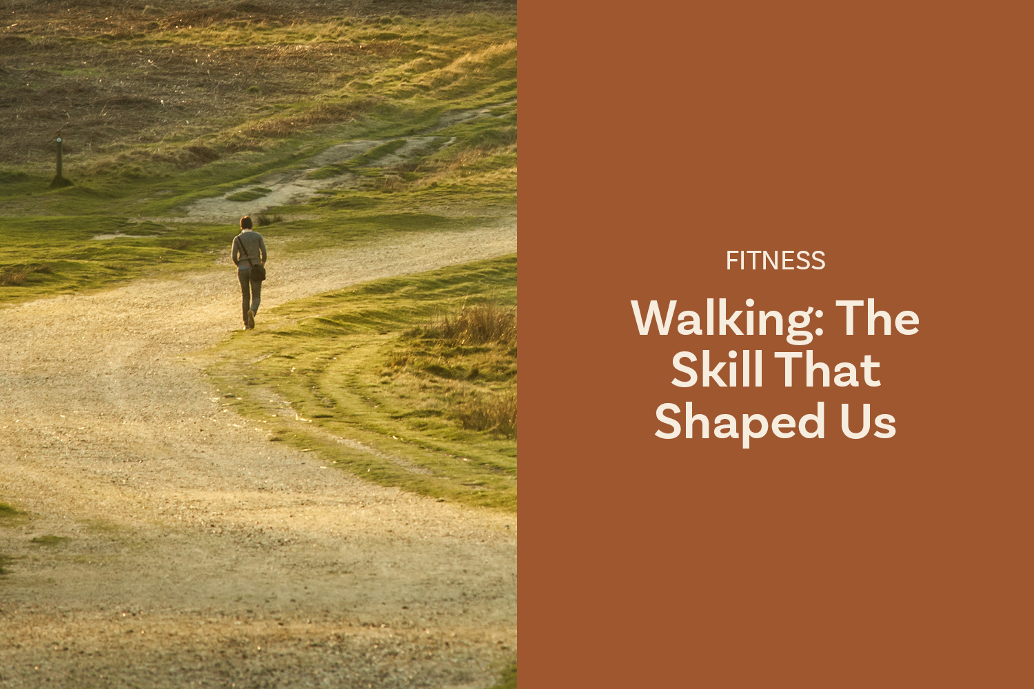 Walking: The Skill That Shaped Us